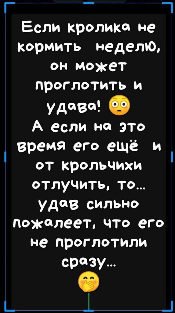 Г 1 Если кроликсп не Кормить неделю он может проглотить и удава О А если не это время его ещё и от крольчихи отлучить то удав сильно пожалеет что его не проглотили срезу і _1