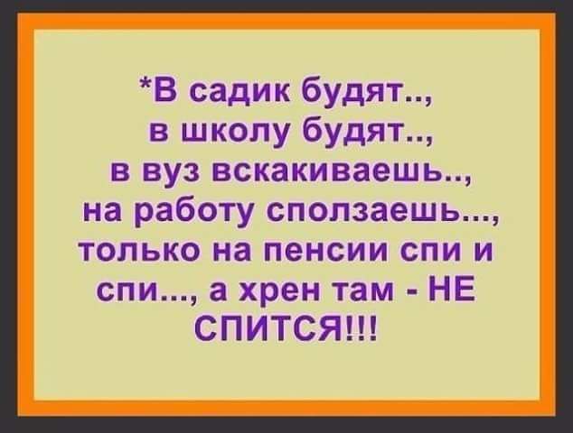 В садик будят в школу будят в вуз вскакиваешь на работу сползаешь только на пенсии спи и спи а хрен там НЕ СПИТСЯ