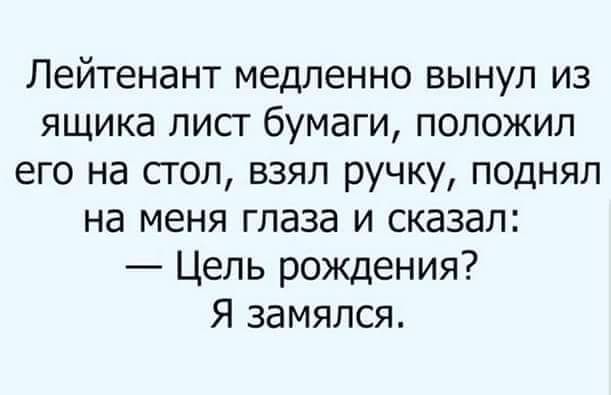 Лейтенант медленно вынул из ящика лисг бумаги положил его на стол взял ручку поднял на меня глаза и сказал Цель рождения Я замялся