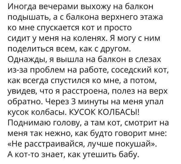 Иногда вечерами выхожу на балкон ПОДЫШЗТЬ а С балкона ВЕРХНЕГО ЭТВЖЭ ко мне спускается кот и просто сидит у меня на коленях я могу с ним ПОДЕЛИТЬСЯ всем как С ДРУГОМ Однажды я вышла на балкон в слезах из за проблем на работе соседский кот КВК ЕСЕГДЗ СПУСТИЛСЯ КО мне а ПОТОМ увидев ЧТО Я расстроена полез на верх обратно Через 3 минуты на меня упал кусок колбасы КУСОК КОЛБАСЫ ПОДНИМВЮ ГОЛОВУ 3 Там К