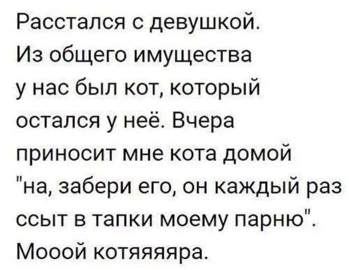 Расстался с девушкой Из общего имущества у нас был кот который остался у неё Вчера приносит мне кота домой на забери его он каждый раз ссыт в тапки моему парню Мооой котяяяяра