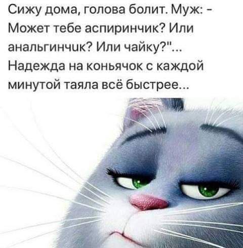 Сижу дома голова болит Муж Может тебе аспиринчик Или анальгинчик Или чайку7 Надежда на коньячок с каждой минутой таяпа всё быстрее