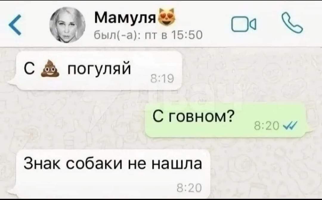 щ М М 1 С А погупяй С говном зцищ Знак собаки не нашла