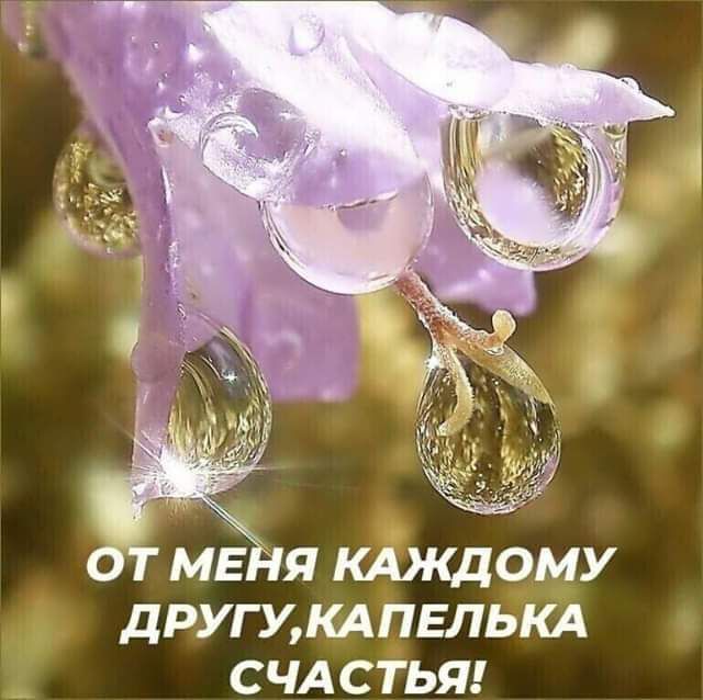 ДРУГдКАПЕПЬКА СЧАСТЬЯ