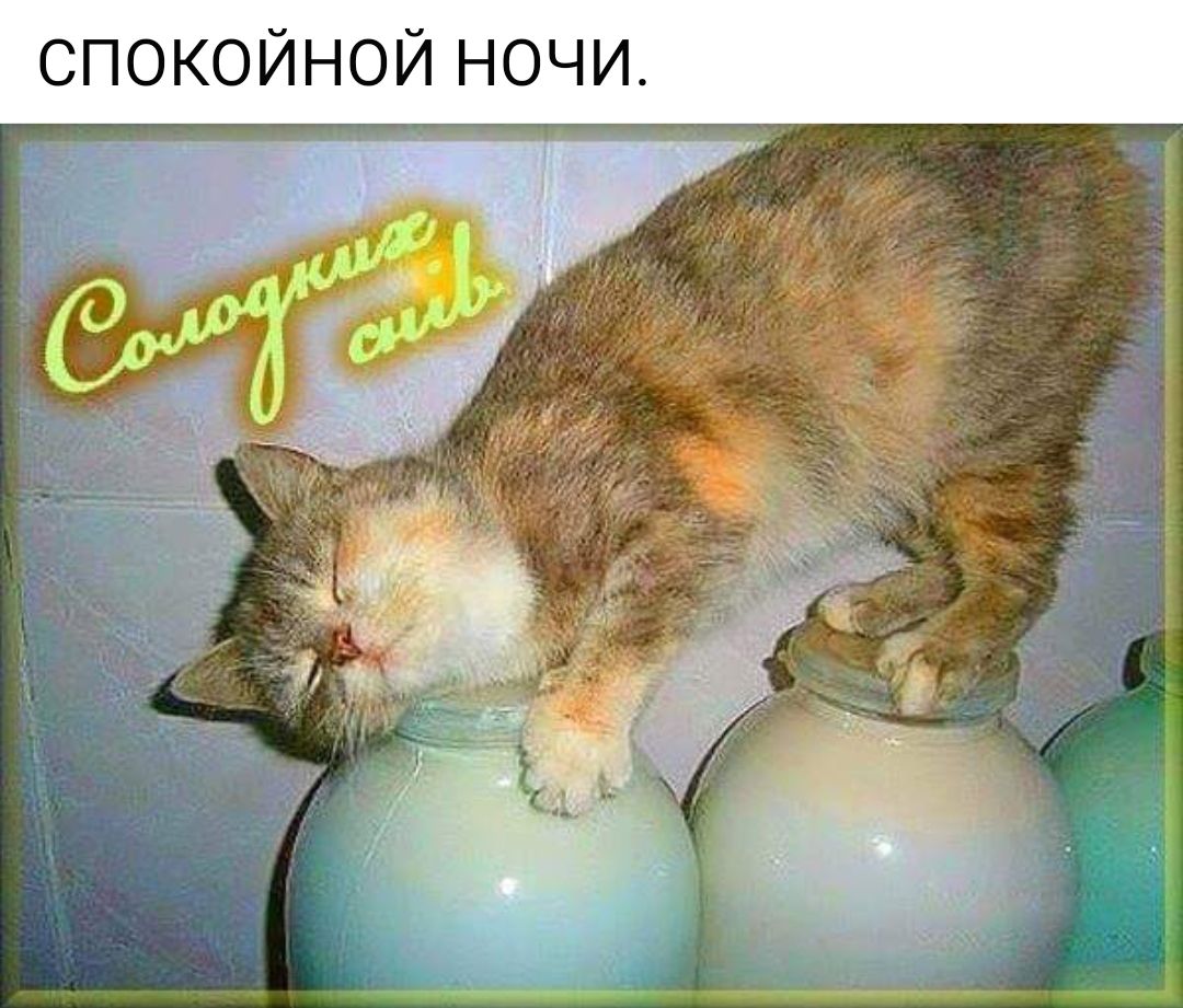 СПОКОЙНОЙ НОЧИ