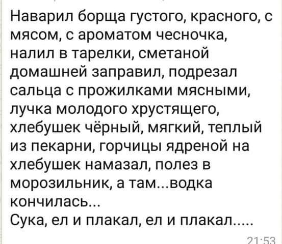 Наварил борща густого красного с мясом с ароматом чесночка налил в тарелки сметаной домашней заправил подрезал СЗПЬЦЗ С ПРОЖИПКЗМИ МЯСНЫМИ пучка молодого хрустящего хлебушек чёрный мягкий теплый ИЗ пекарни ГОРЧИЦЫ ядреной на хлебушек намазал полез в морозильник а тамводка КОНЧИЛЭСЬ Сука ел и плакал ел и плакал