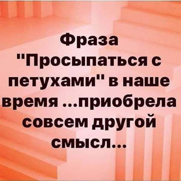 Фраза Просыпаться петухами в наше время приобрела совсем другой СМЫСЛ ь