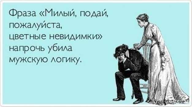 Фраза МИЫЙ подай пожмуйста цветные невидимки напрочь убИАа мужскую Аогику