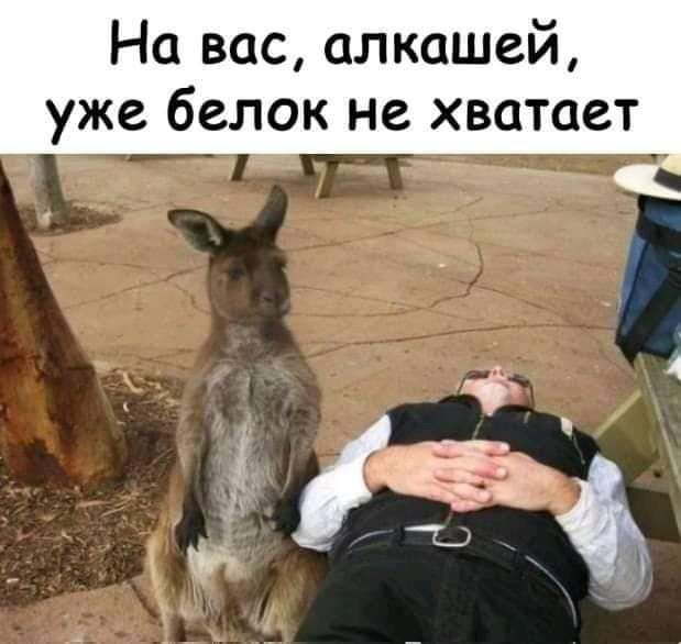 На вас алкашей уже белок не хватает