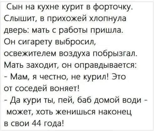 Сын на кухне курит в форточку Слышит в прихожей хлопнула дверь мать с работы пришла Он сигарету выбросил освежителем воздуха побрызгал Мать заходит он оправдывается Мам я честно не курил Это от соседей воняет Да кури ты пей баб домой води мохет хоть женишься наконец в свои 44 года