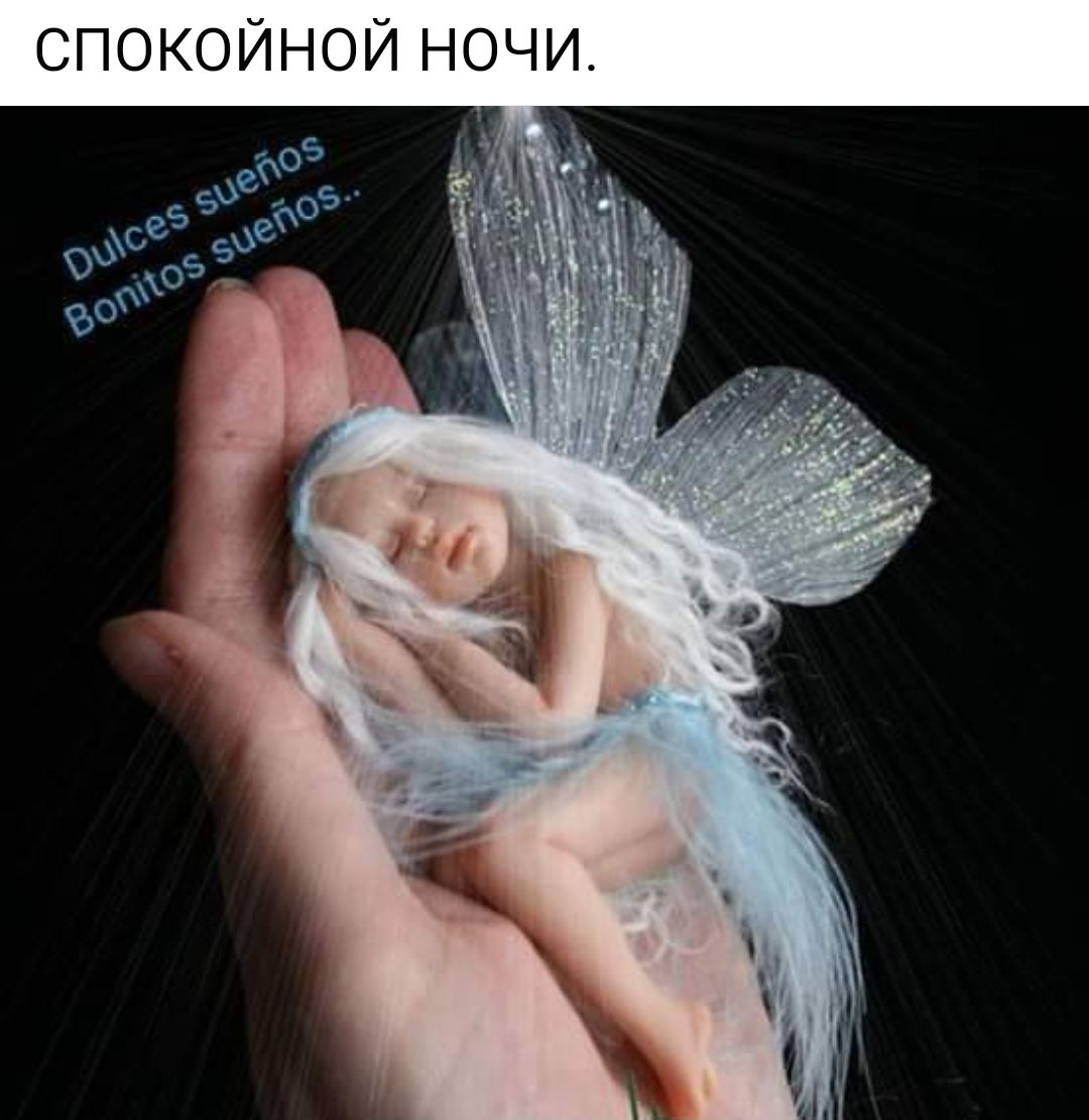 СПО ЙНОЙ НОЧИ