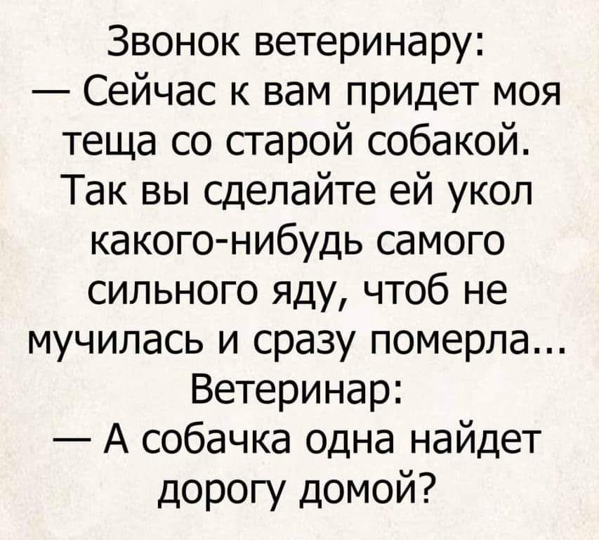 Звонок ветеринару Сейчас к вам придет моя теща со старой собакой Так вы сделайте ей укол какого нибудь самого сильного яду чтоб не мучилась и сразу померла Ветеринар А собачка одна найдет дорогу домой