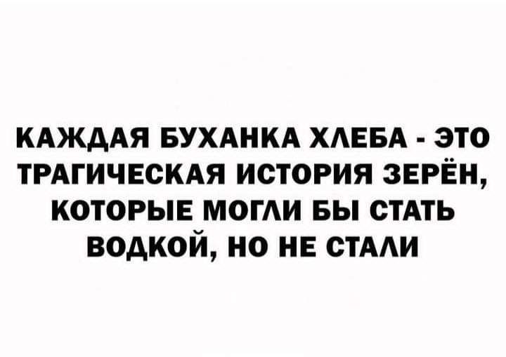 КАЖААЯ вухднкд ХАЕБА это тмгичвскдя история зерЁн которые могли вы СТАТЬ водкой но и стААи