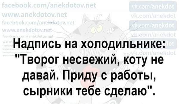 Надпись на холодильнике Творог несвежий коту не давай Приду с работы сырники тебе сделаю