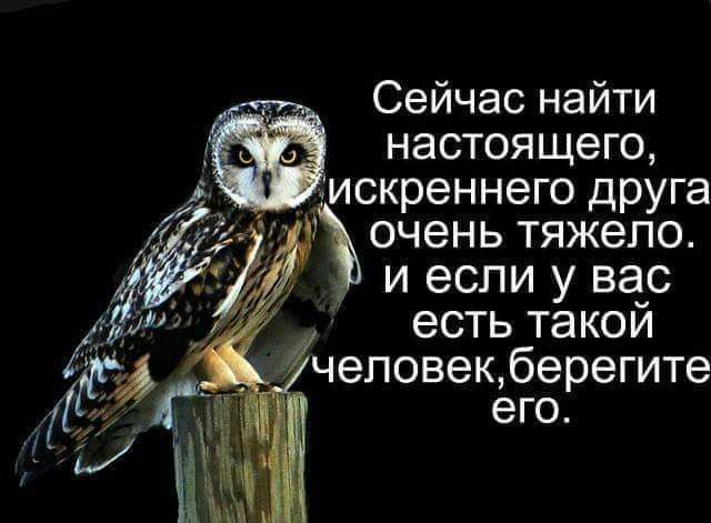 Сейчас найти настоящего искреннего друга очень ТЯЖЭПО И если у вас есть ТЭКОИ чеповекберегите его