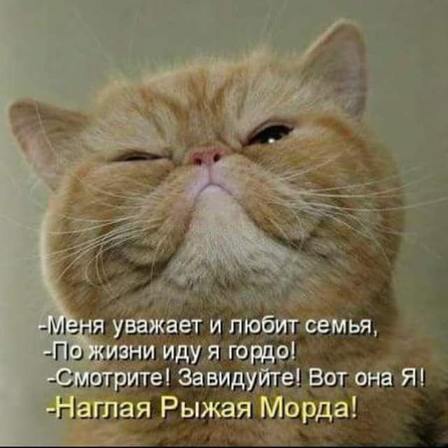 На ая Рыжая М рда