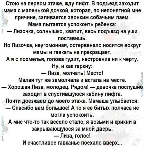 Стою на первом этаже жду лифт в подъезд заходит мама с маленькой дочкой которая по непонятной мне причине заливается звонким собачьим лаем Мама пытается успокоить ребенка Пиючка солнышко хватит весь лодъеод на уши поставишь Но Пизочка иеутомончая остервенело носится вокруг мамы и гавкать не прекращает А я с похмелья голова гудит настроение ни к черту Ну и как гаркну Пиза молчать Местоі Малая тут ж