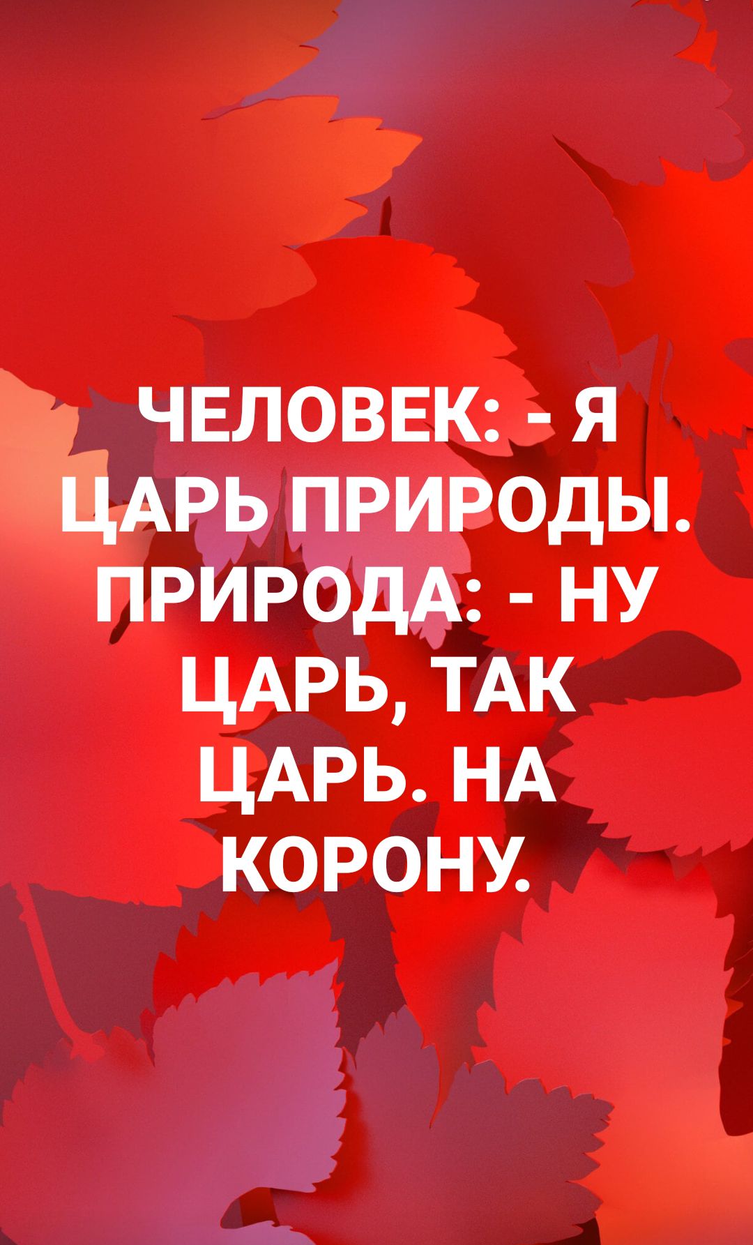 чвловвк я ЦАРЬ природы ПРИРОДА ну ЦАРЬ ТАК цдрь НА корону