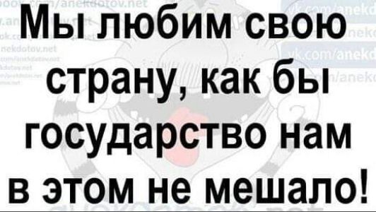 Мы любим свою страну как бы государство нам в этом не мешало