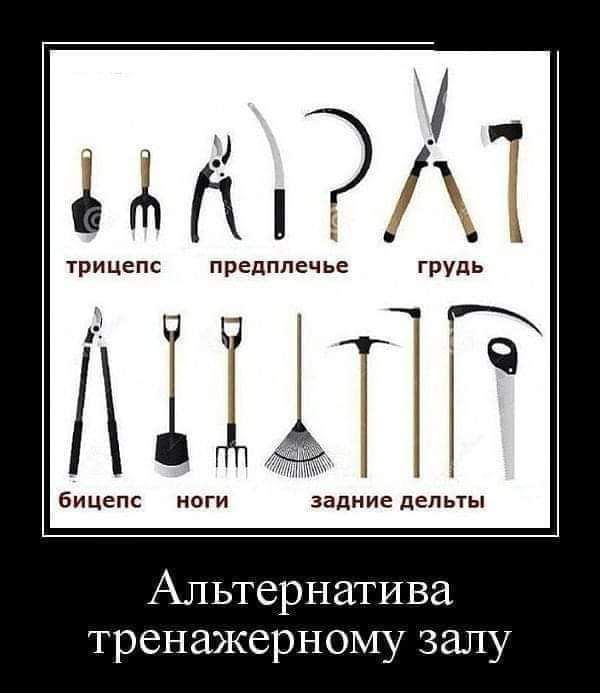 1 им трицепс предплечье И Бицепс ноги задние дельты Альтернатива тренажерному залу