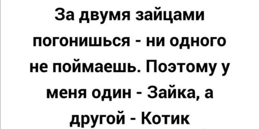 За двумя зайцами погонишься ни одного не поймаешь Поэтому у меня один Зайка а другой Котик