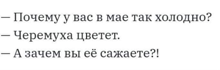 Почему у вас в мае так холодно Черемуха цветет А зачем вы её сажаете