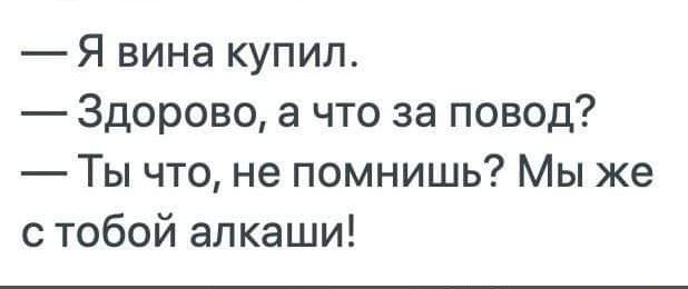 Я вина купил Здорово а что за повод Ты что не помнишь Мы же с тобой алкаши