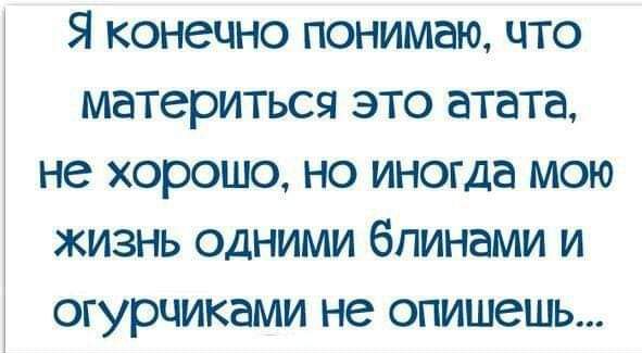 Я конечно понимаю что материться это атата не хорошо но иногда мою жизнь одними блинами и огурчиками не опишешь