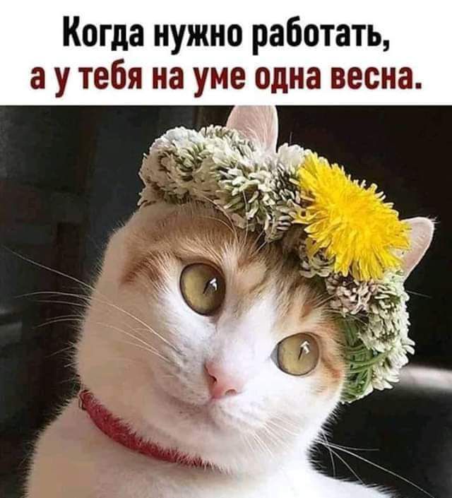 Когда нужно работать а у тебя на уме одна весна