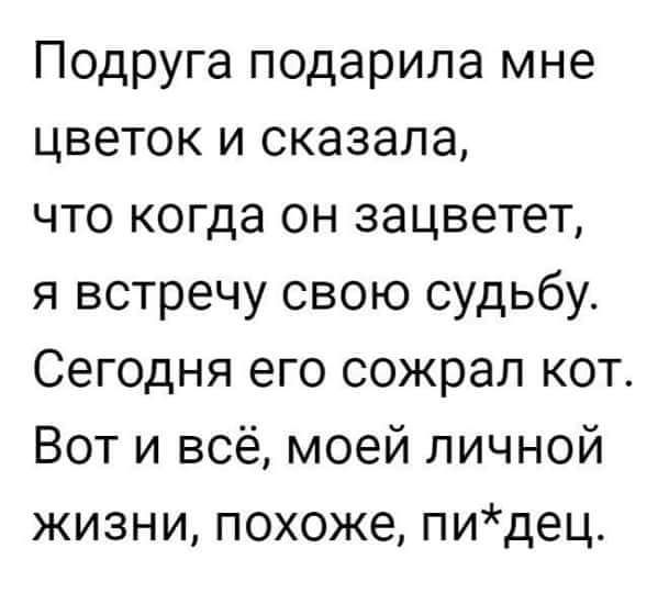 Подруга подарила мне цветок и сказала что когда он зацветет я встречу свою судьбу Сегодня его сожрал кот Вот и всё моей личной жизни похоже пидец