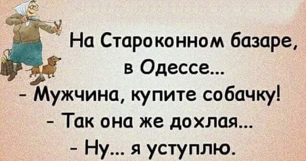 кд На Староконном базаре в Одессе Мужчина купите собачку Так она же дохлая Ну я уступлю