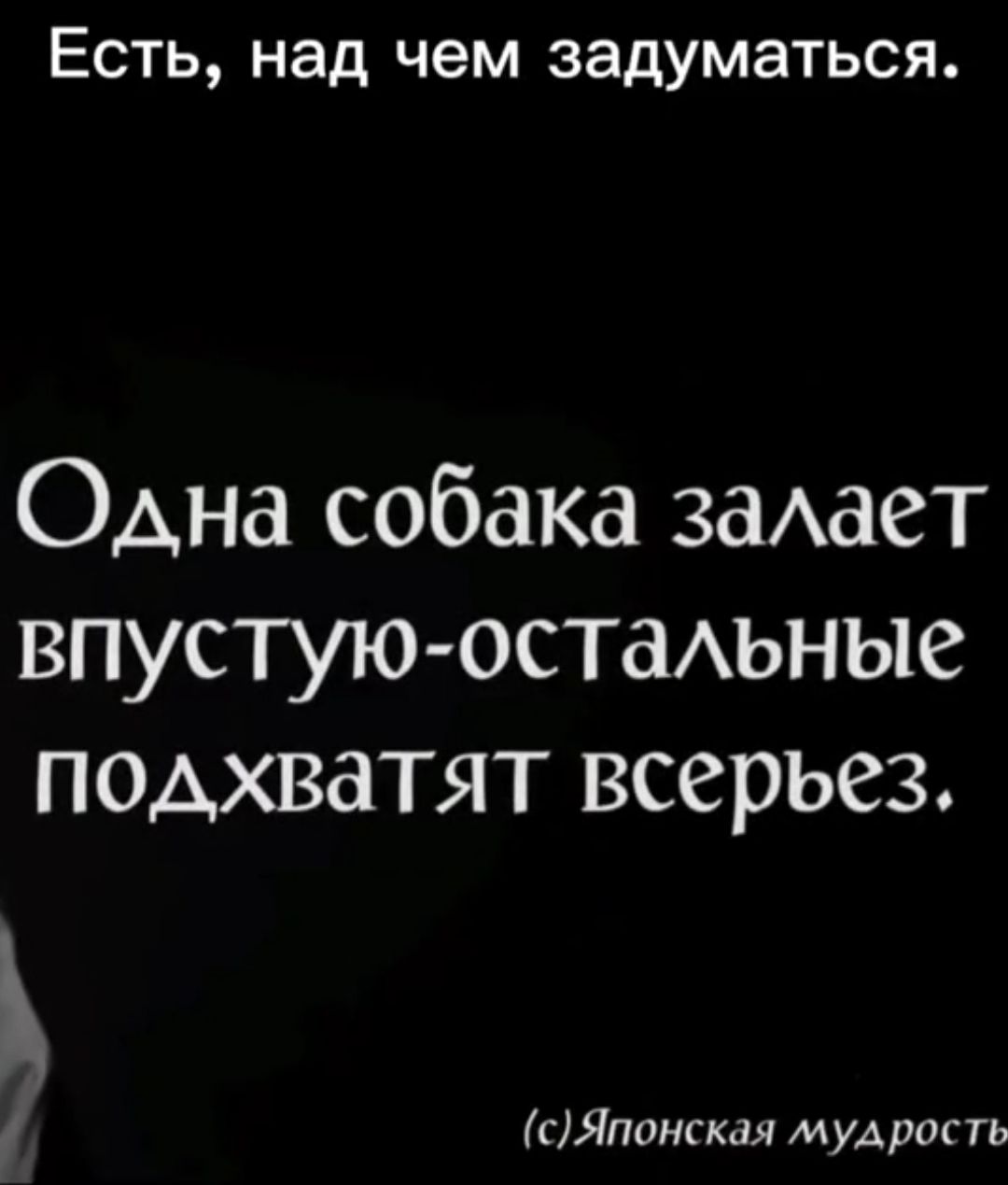 Есть над чем задуматься Одна собака заАает впустую остаАьные подхватят всерьез сЯпангкая мудрос ть