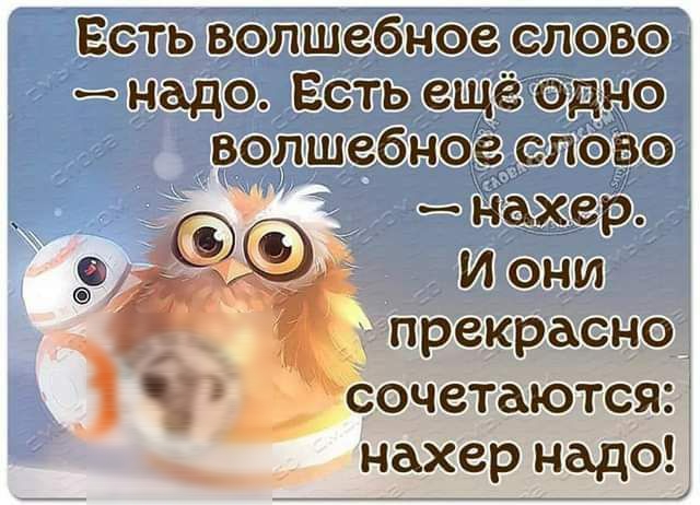 Есть волшебное слово надо Есть ещё Одно волшебное споВо нахер Фо И они д прекрасно Ч сочетаются нахер надо