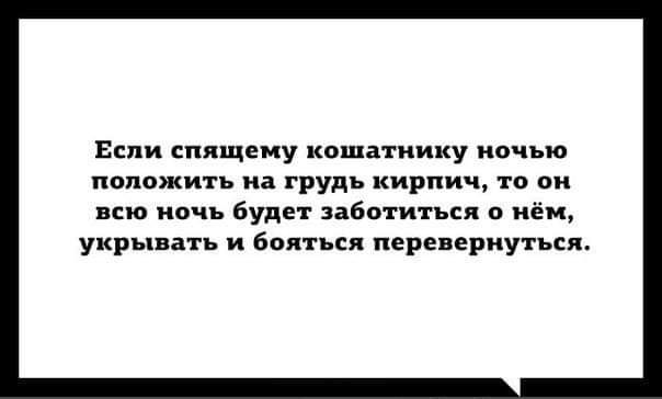 Если спящему кошатиииу ночью наложить на грудь кирпич то он всю ночь Будет заботиться о нём укрывать и бояться перевернуться