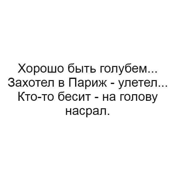 Хорошо быть голубем Захотел в Париж улетел Кто то бесит на голову насрал