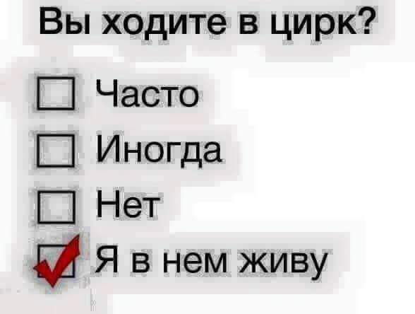 Вы ходите в цирк Часто Ш Иногда Нет и Я в нем живу