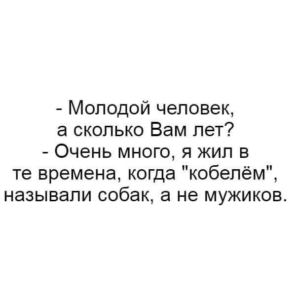 Молодой человек а сколько Вам лет Очень много я жил в те времена когда кобелём называли собак а не мужиков