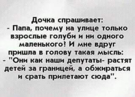 дочка прешипет Папа почему на улице только взрослые голуби и ни одного маленького и мне вдруг пришла в голову такая мысль Оми кок каши депутагы растят детей и грнкицей а обжирпься и срать прилетают сюда