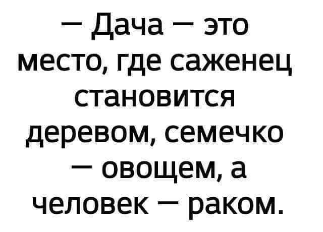 Дача это место где саженец становится деревом семечко овощем а человек раком