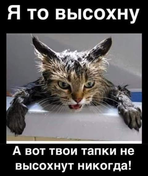 Я то высохну А вот твои тапки не высохнут никогда