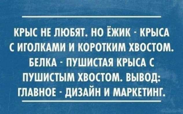 кгыс ИЕ лювят но Ёжик кгысл иголкдми и коротким хвостом БЕЛКА пушистдя кгып пушистым хвостом вывод глдвно диздйн и шттинг