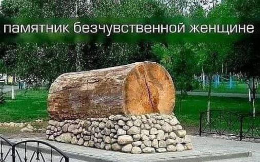 ПаМЯТНИК безчувственной женщине