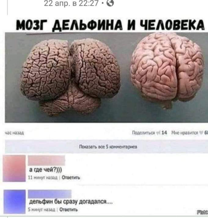 22апрв22279 МОЗГ АЪФИНА И ЧЕМЮЕКА мц ц и