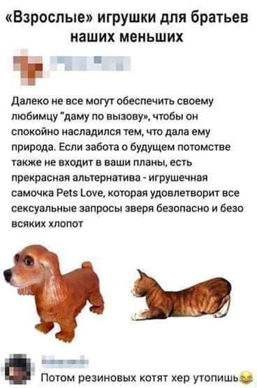 Взрослые игрушки для братьев наших меньших Далеко не все могут обеспемить своему любимцу даму по вызову чтБы он спокойно ивспадился им чт дам ему природе Если забота о будущем потомстве также не вхщит в ищи планы есть прекрасная елыермшии игрушечнмч самочка Реіз щие котрая удовлетворит вое сексуальиыв запросы зверя безопасно и безо всяких хлопот Ён Потом резииоцык котят ер утопишь