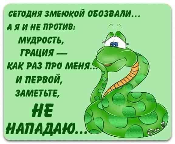 талия змвюкай ввозили а я и не питии мудрость тция или из про меня и первой злмвтьтг