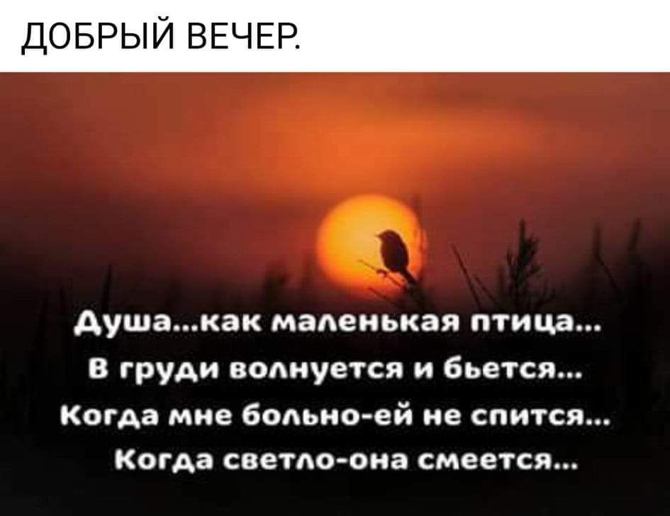 ДОБ И ВЕЧ Аушакак маАеиькая птица В груди волнуется и бьется когда мне больно ей ив спигся когда светлоома смеется