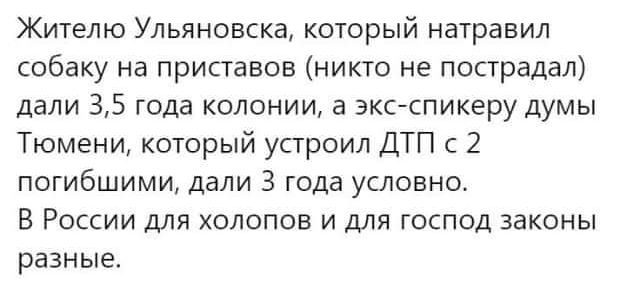 Жителю Ульяновска который натравил собаку на приставов никто не пострадал дали 35 года колонии а экстпикеру думы Тюмени который устроил ДТП с 2 погибшими дали 3 года условно В России для холопов и для господ законы разные