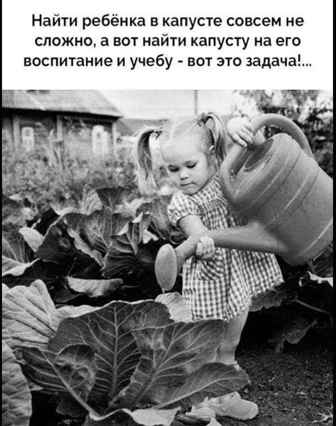 Найти ребёнка в капусте совсем не сложно а вот найти капусту на его воспитание И учебу ВОТ ЭТО задача