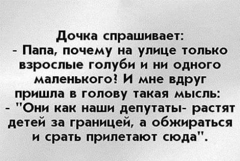 дочка спрашивает Папа почему на улице только взрослые голуби и ни одного маленького И мне вдруг пришла в голову такая мысль Они как наши депутаты растят детей за границей а обжираться и срать прилетают сюда