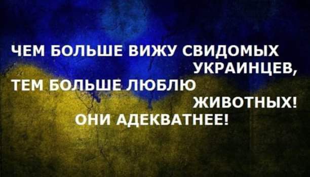 свидомых укминцвв ю животныхц Кгнвы